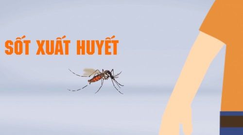 Sốt xuất huyết và sốt xuất huyết nặng