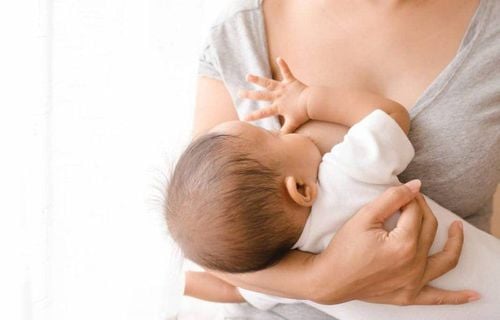 Is it possible to breastfeed while pregnant?