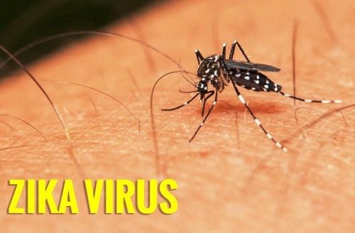 Zika virus infection, how to treat?