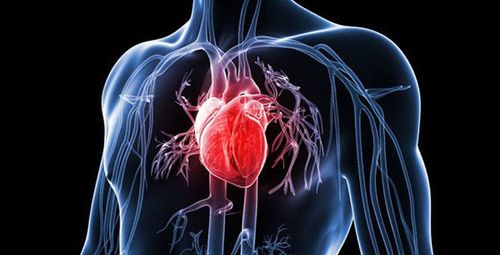 Phương pháp hạ thân nhiệt trong cấp cứu và hồi sức tim mạch