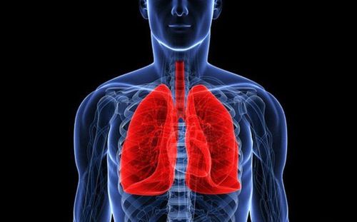 Measures to diagnose and treat lung abscess