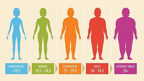 What does body mass index include?