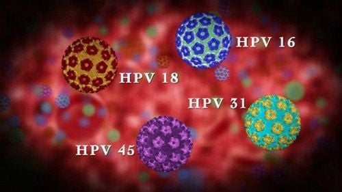 
Virus HPV
