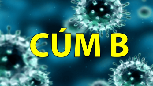 Virus cúm B: Những điều cần biết