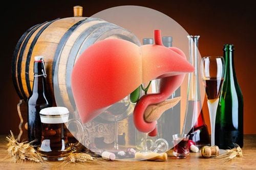 How does alcohol affect the liver?