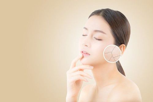 
Dầu ô liu có công dụng tuyệt vời trong việc giảm quá trình lão hóa
