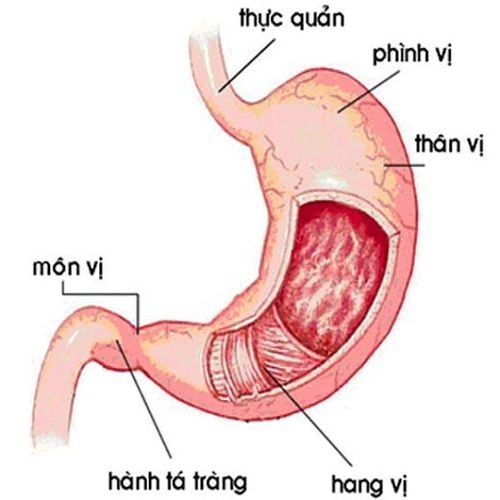 Does epigastric pain increase the risk of stomach cancer?