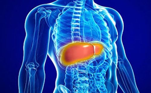 Acute liver failure: Diagnosis, treatment