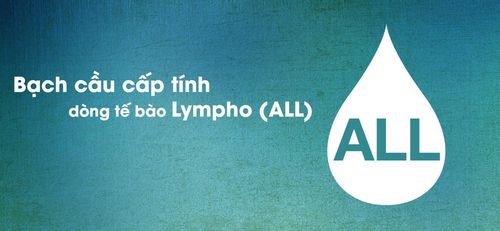 Phân loại bệnh bạch cầu cấp tính dòng tế bào Lympho (ALL) ở người lớn