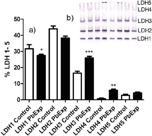 
Định lượng LDH 1-5
