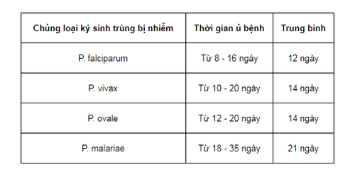 
. Thời gian ủ bệnh sốt rét của mỗi chủng loại ký sinh trùng sốt rét
