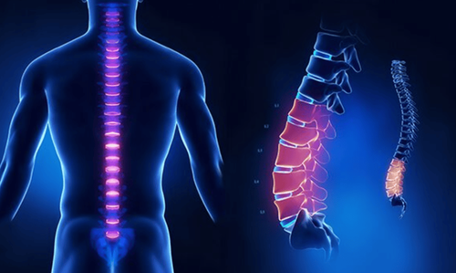 The procedure of computed tomography of the lumbar spine with 3D rendering