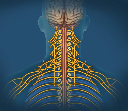 Chronic neuropathic pain: Features, diagnosis and treatment