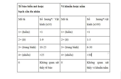 Nhuộm gram nước tiểu trong chẩn đoán nhiễm trùng tiểu