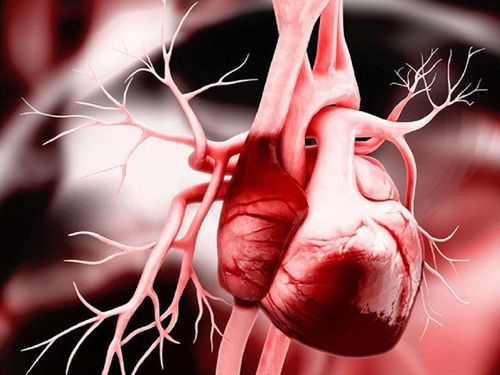 Bị nhồi máu cơ tim: Cải thiện chỉ số EF bằng cách nào?