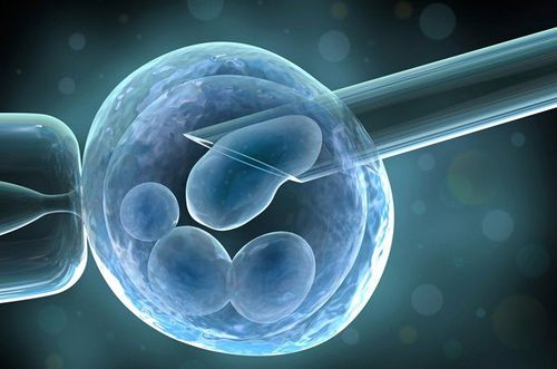 Effect of embryo culture on IVF results