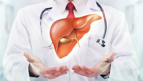 Preoperative assessment of patients with liver disease