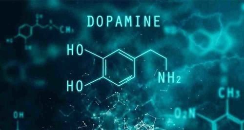 Những thay đổi trong hệ thống dopamine có thể giúp giải thích các triệu chứng của chứng biếng ăn.