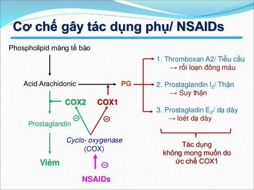 
Cơ chế gây tác dụng phụ của thuốc nhóm NSAID
