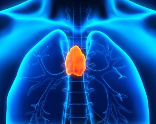 Endotracheal anesthesia procedure laparoscopic thymectomy