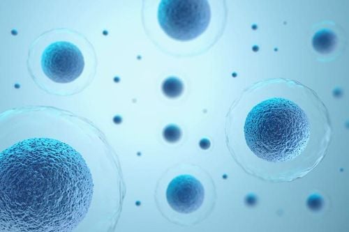 Có nên dùng tế bào gốc để điều trị thoát vị đĩa đệm?