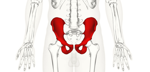 Pelvic MRI (pelvic region): What you need to know