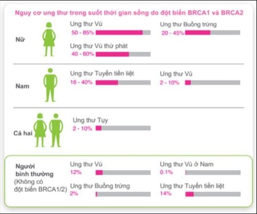 
Nguy cơ ung thư vú ở những đối tượng mang GEN BRCA
