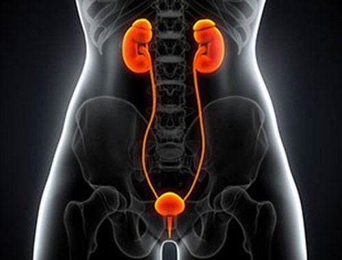 Treatment of chronic urethritis