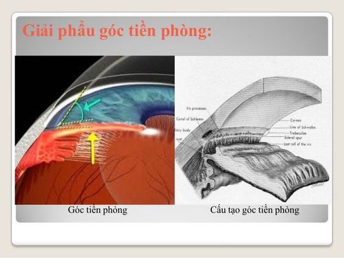 Examine the front corner of the room to assess the condition of the front corner of the room