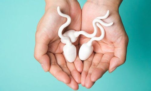 Healthy sperm improves your fertility