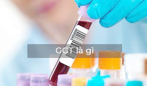 Gamma GT index in blood test