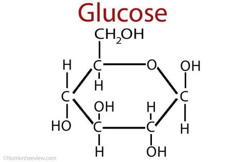 
Thông thường, chỉ số glucose thường không có trong nước tiểu
