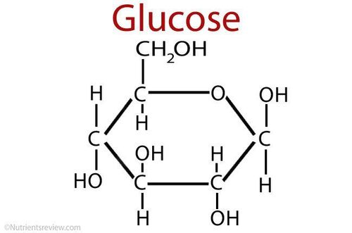 Normally, glucose is not present in urine.

