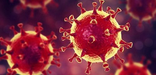 Influenza A virus: The virus that needs special attention