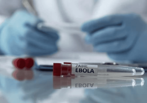Chẩn đoán và điều trị bệnh do virus Ebola theo hướng dẫn của Bộ Y tế