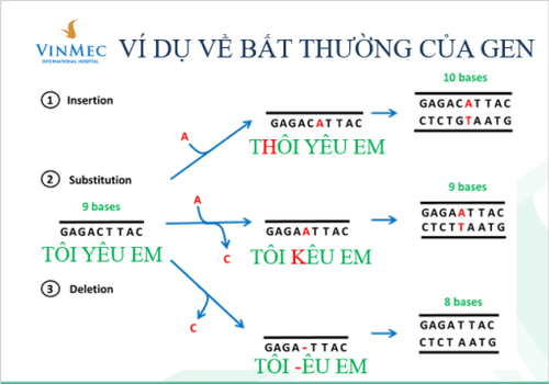 
Ảnh minh họa các dạng đột biến điểm
