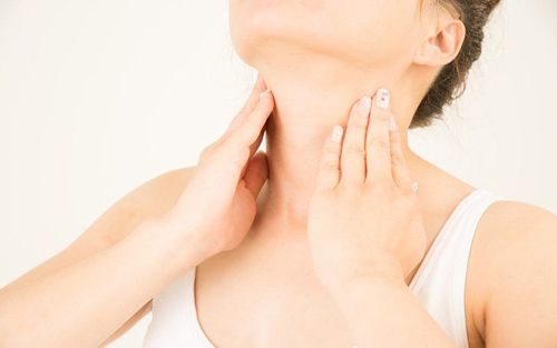 What is the role of the thyroid gland in the endocrine system?