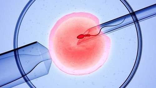 IVF có cần làm giai đoạn sinh thiết phôi?