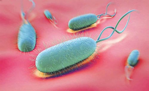 Nhiễm H.pylori và các bệnh lý liên quan với phương pháp chẩn đoán xâm nhập