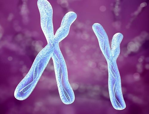 Mutations in the AZF region on the Y chromosome in male infertility