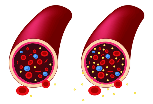 Is hepatitis C transmitted through blood?