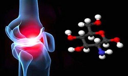 What is Chondroitin Sulfate?