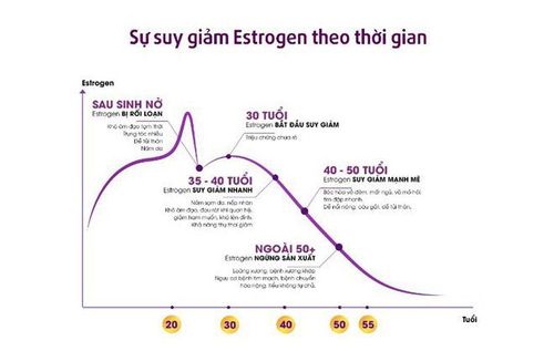 
Estrogen suy giảm theo thời gian
