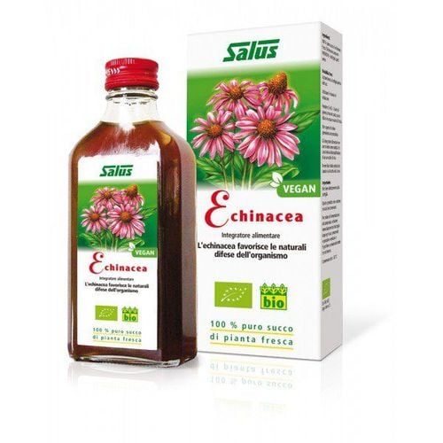 
Thảo dược echinacea có thể ngăn ngừa cảm lạnh
