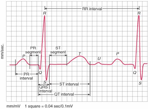 
Vị trí và giới hạn bình thường của sóng P trên ECG
