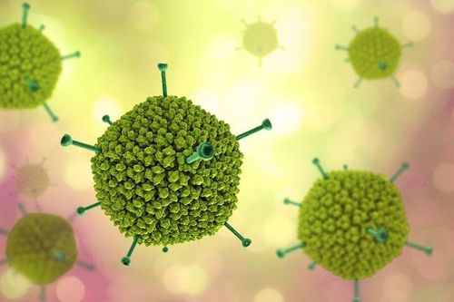 How does temperature affect the spread of infectious disease viruses?