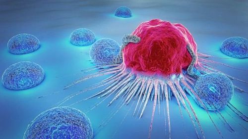 List of the most common cancers and how to detect them