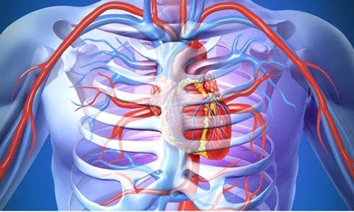 Endoscopic-assisted thoracic surgery