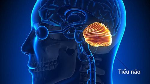 Ataxia and cerebellar motor dysfunction