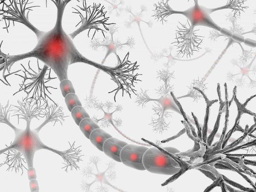 Bệnh dây thần kinh ngoại biên hủy myelin do cận paraprotein máu